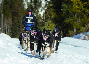 dogsledding_Ron_Armstrong