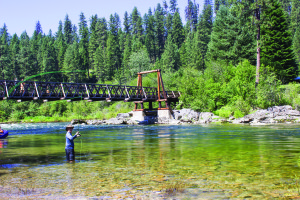 Jim Brockman coaxing cutthroat trout to the surface, below the bridge at Selway Lodge. 