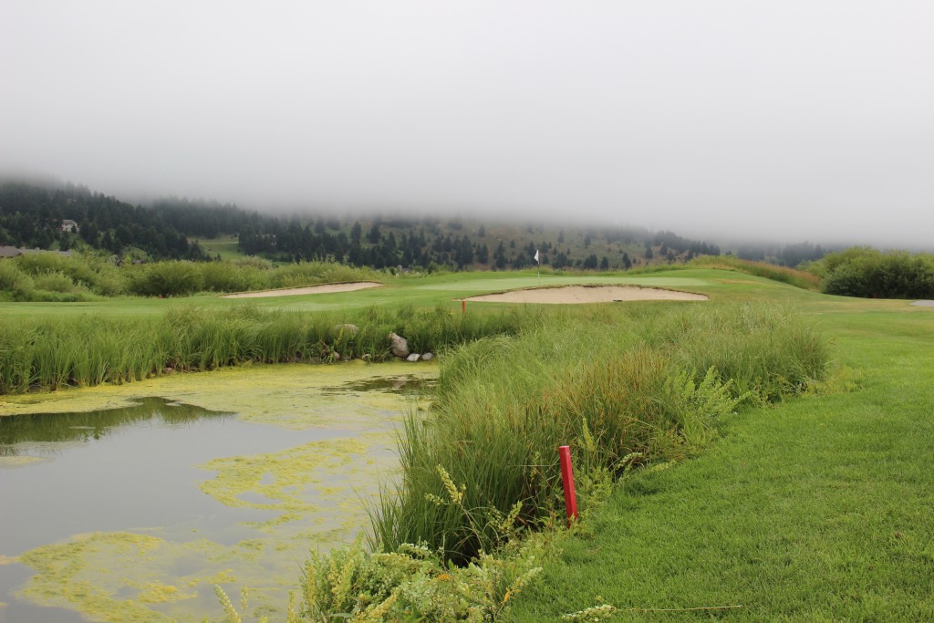 GRTF studies indicate that nitrogen from Big Sky wastewater is the Upper West Fork's most significant pollutant.