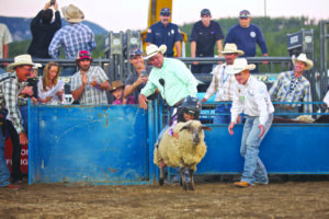 6 year old Kelsey Ladd competed in the Mutton Bustin’ competition on Friday night, and took home the winning title for the second year running.