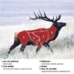 elk_meat_guide