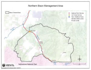bison_map1