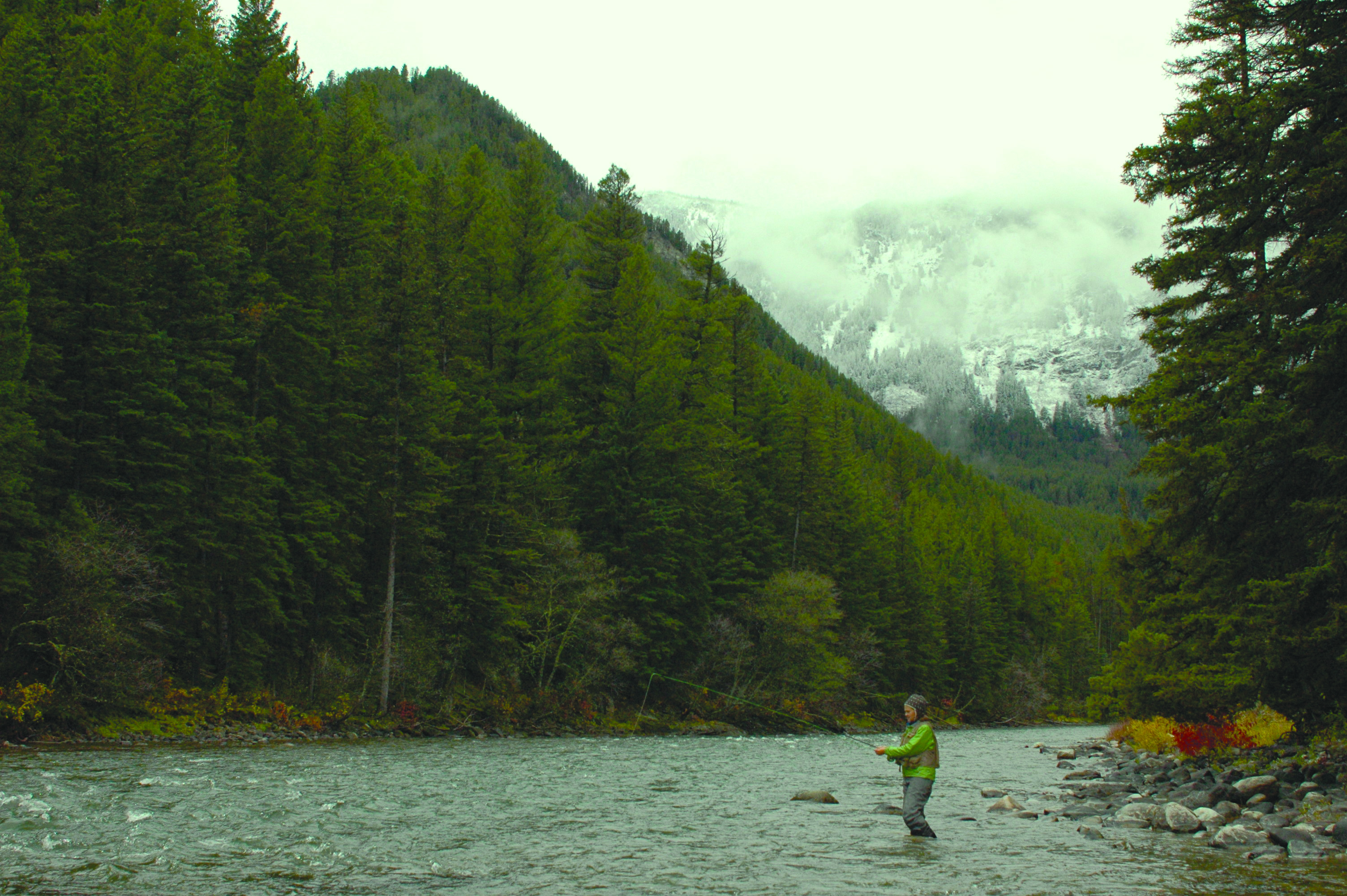 The Gallatin River may be the greatest fly-fishing river in the world. It's beautiful, accessible and right in our backfield. Home field has to count for something. PHOTO JIMMY ARMIJO-GROVER