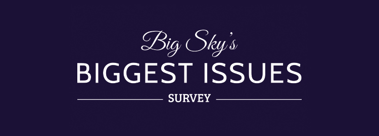 Big Sky Survey header