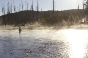 Morning fog on the Madison River, near the confluence of the Gibbon and Firehole rivers in Yellowstone National Park. PHOTO BY JOSEPH T. O’CONNOR