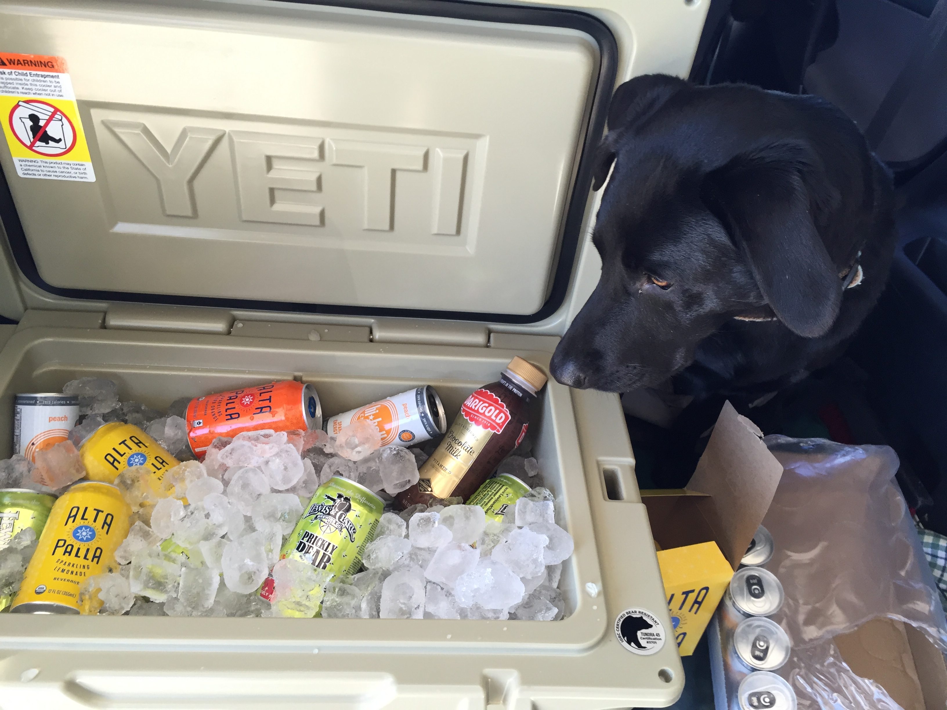 Yeti Tundra 45 Quart Coolers