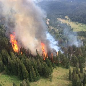 The Fawn Fire from the air on Aug. 5. 