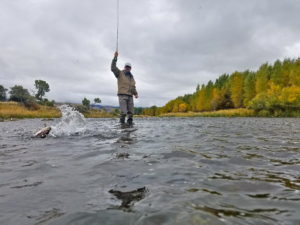 Cooler waters, changing leaves and less spunky trout make fall an ideal time to fish in southwest Montana.  PHOTO COURTESY OF GALLATIN RIVER GUIDES 