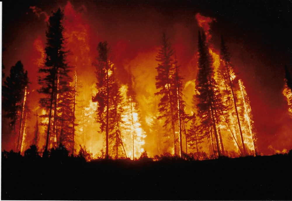 Flames from a fire in the Clover-Mist complex in 1988. PHOTO BY RENE EUSTACE