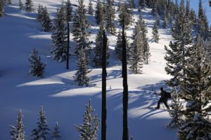 Splitboarder Dave Jessup skins through cold snow and long shadows in Yellowstone National Park.  