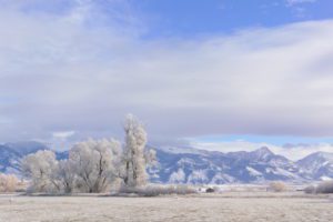 “The sensual experience of changing seasons is one of the most notable features of living in ‘The Last Best Place,’” writes Belgrade-area photographer Tim Crawford. ‘Bridgers in Four Seasons,’ a finalist in a new exhibit at Old Town Gallery & Framing is a series that explores the same vantage point at different times of year. PHOTO BY TIM CRAWFORD