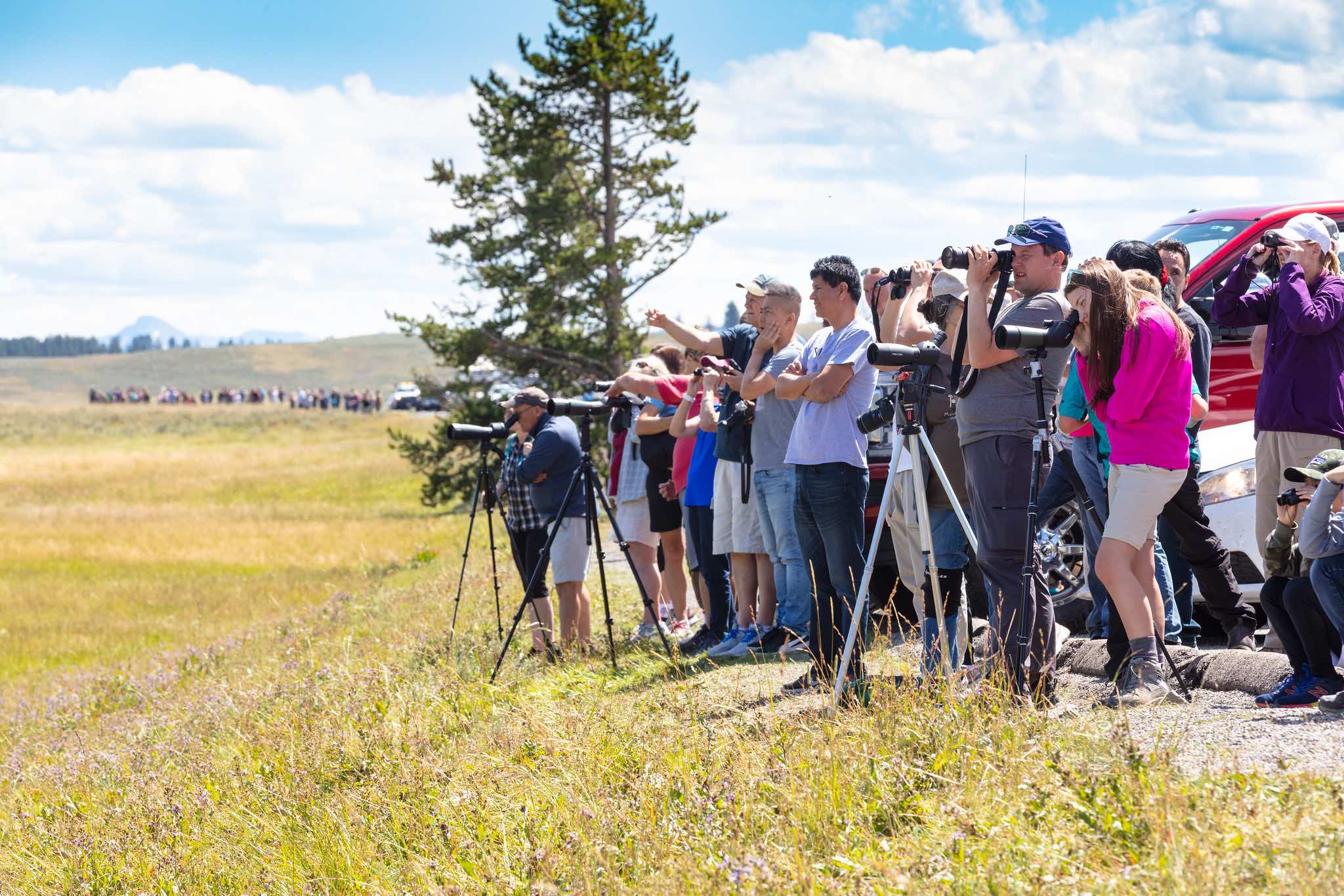 voyage groupe yellowstone