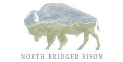 Northern Bridger Bison logo