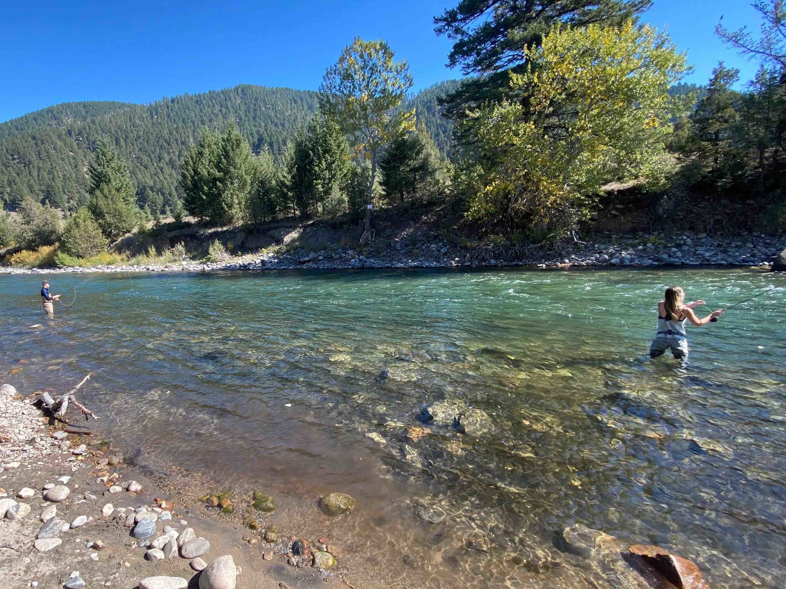 Moose Creek Project  Gallatin River Task Force