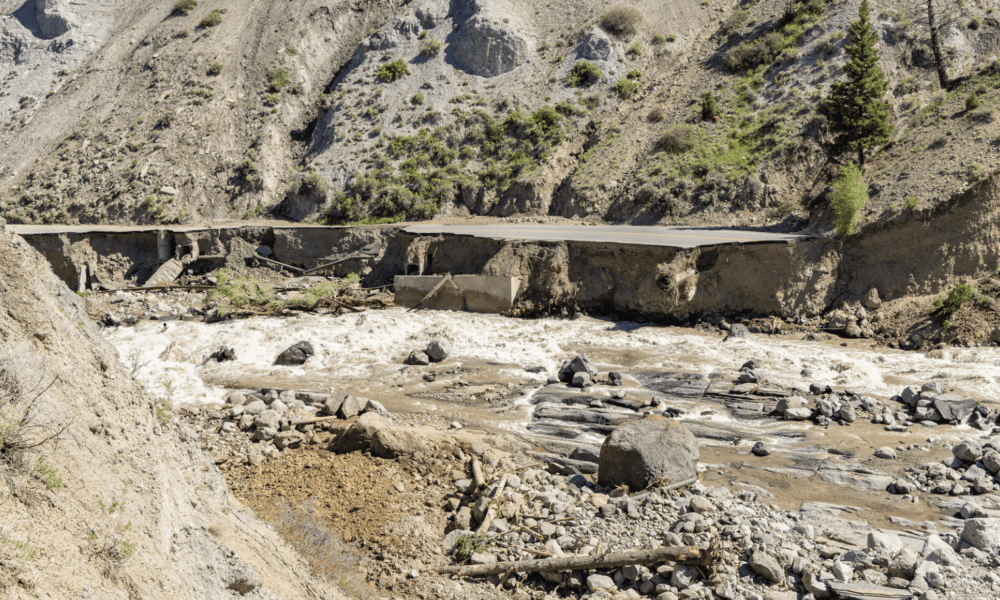 Tester, Daines, Rosendale push for federal emergency relief funding