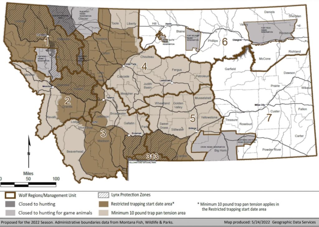 Revised Montana wolf regs aim to limit Yellowstonearea kills Explore