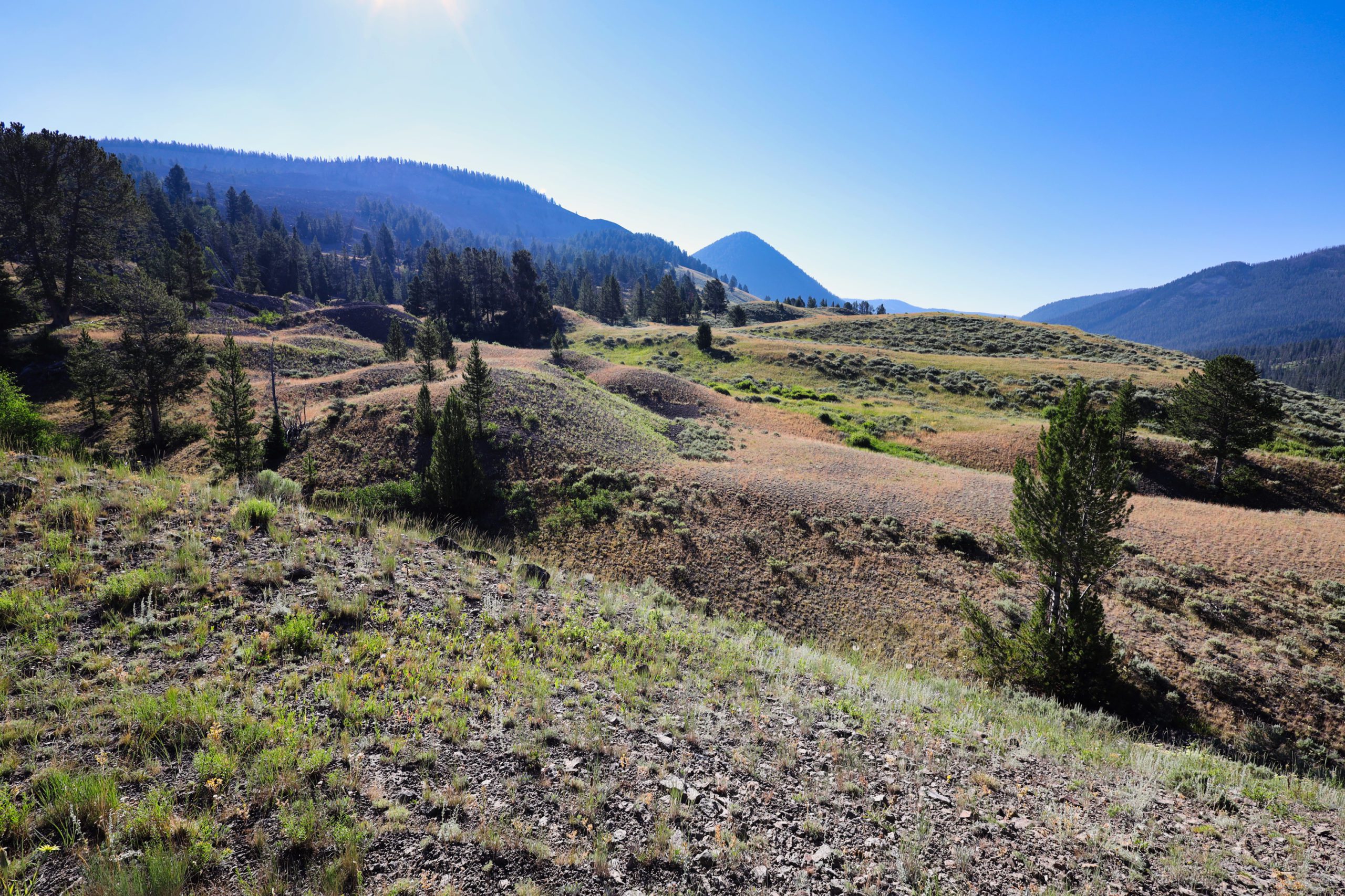 Local Knowledge: Hummocky topography