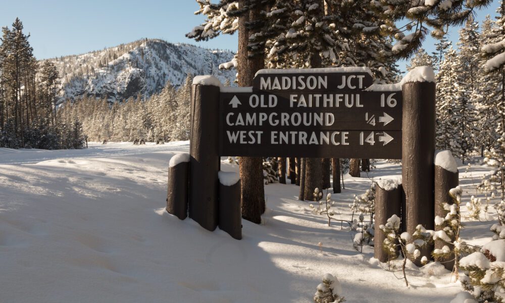 Officials investigate weekend death in Yellowstone National Park