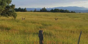 What really affects hunting in the West