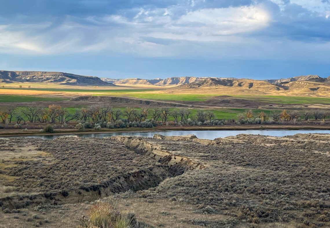 Dispatches from the Wild: Grizzlies return to the plains 