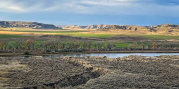 Dispatches from the Wild: Grizzlies return to the plains 