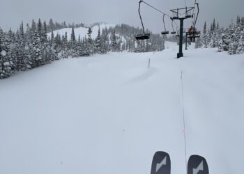 Gift and Gear Guide 2023