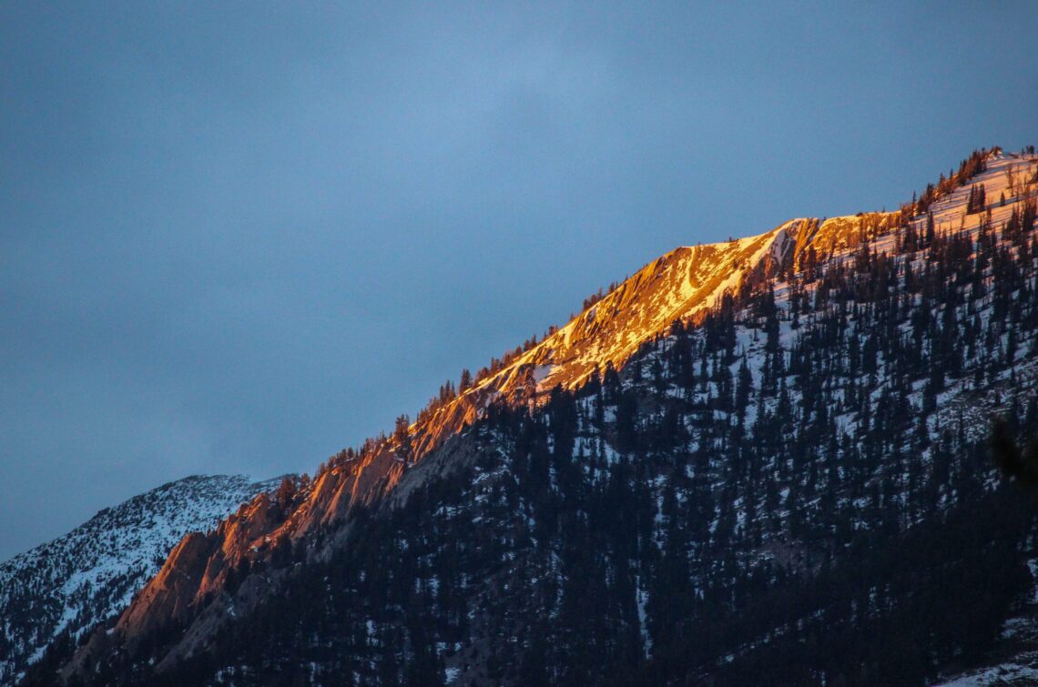 Let’s Talk About Mental Health: Holidaze health 