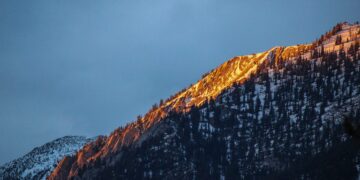 Let’s Talk About Mental Health: Holidaze health 