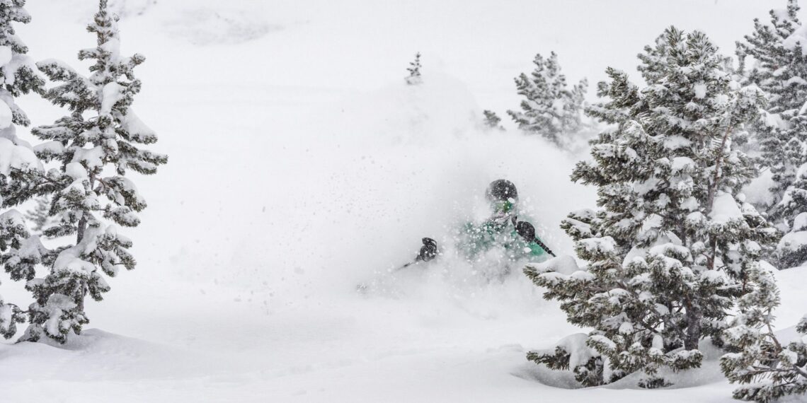 Yellowstone Club earns ‘Whitebark Pine Friendly’ certification 