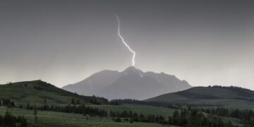 Dispatches from the Wild: Winter’s premature smoke signals 