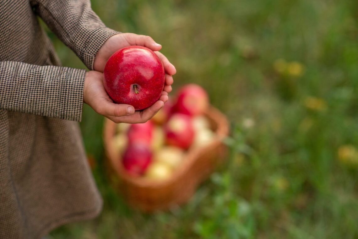 Health Buzz: Holistic health 2024 