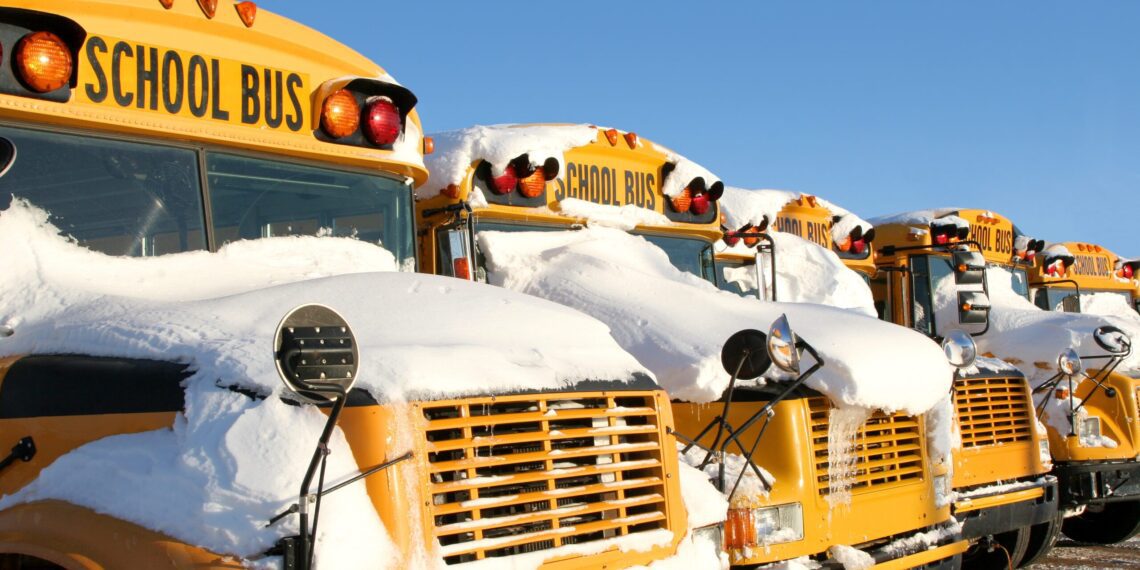 Environment: Go bus, go! 