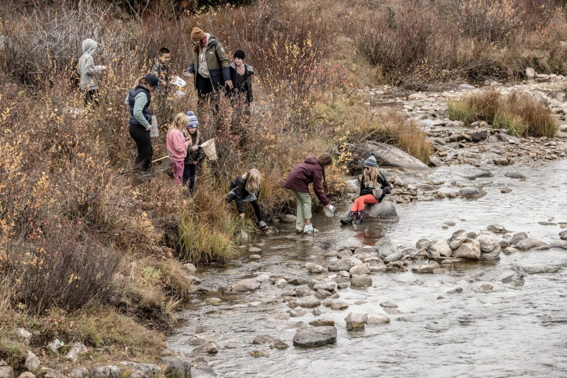 Every Drop Counts: Here’s to a year filled with water conservation