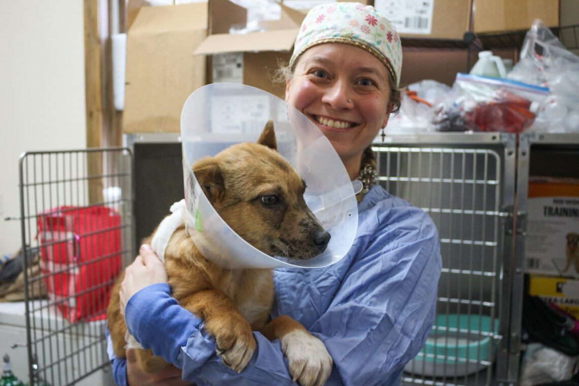 RUFF funds spay-neuters for animal rescue nonprofit 