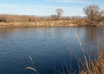 Gallatin Valley Land Trust secures 407 acres along Jefferson River 