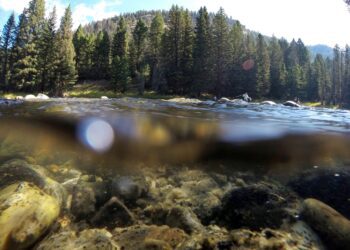 Every Drop Counts: Building a unified vision for water in Big Sky