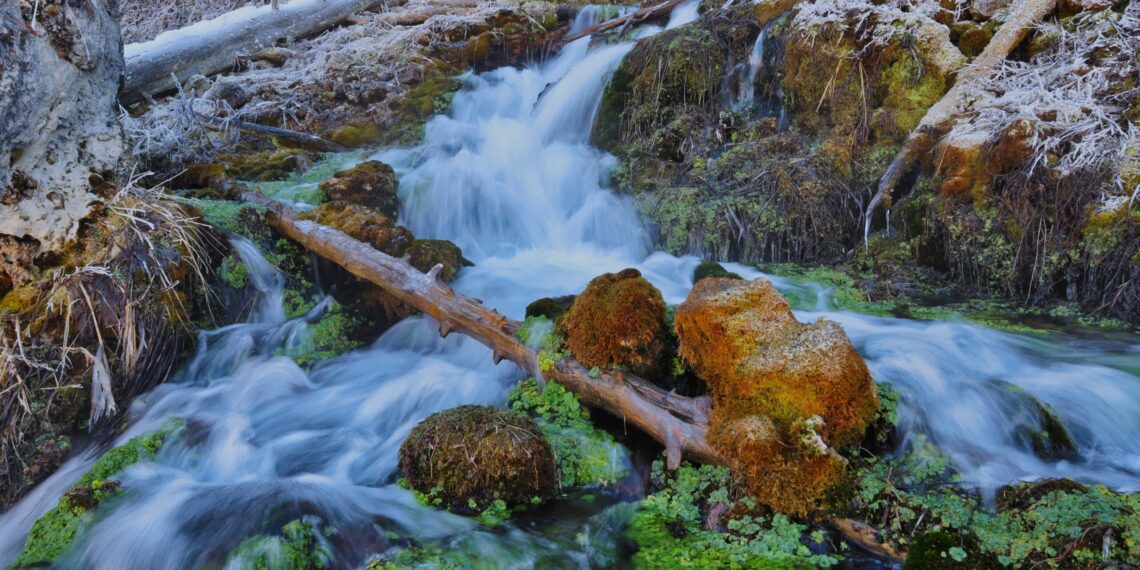 Local Knowledge: Snowflake Springs 