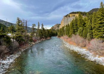 Movie filmed on Yellowstone, Gallatin rivers available on Netflix