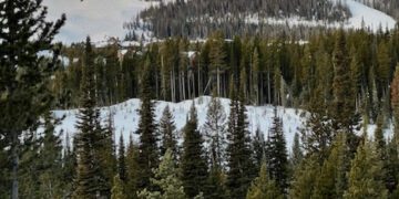 Letter to the Editor: Great acute care in Big Sky and in Bozeman on March 13 may have saved my life