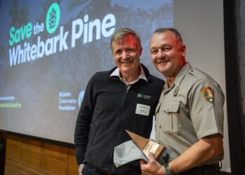 Yellowstone Superintendent Cam Sholly wins ‘Forest Resilience Champion’ award