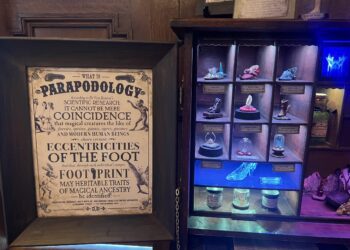 Cabinets of Curiosity to open at Bozeman’s Story Mansion