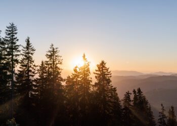 Gallatin Valley Earth Day to offer activities this weekend