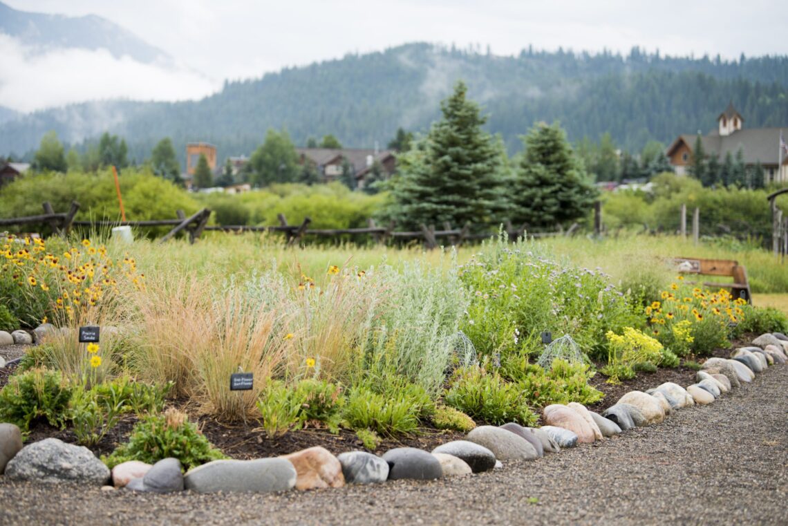 Every Drop Counts: Alpenscapes unifies a vision for resilient and sustainable landscaping in Big Sky
