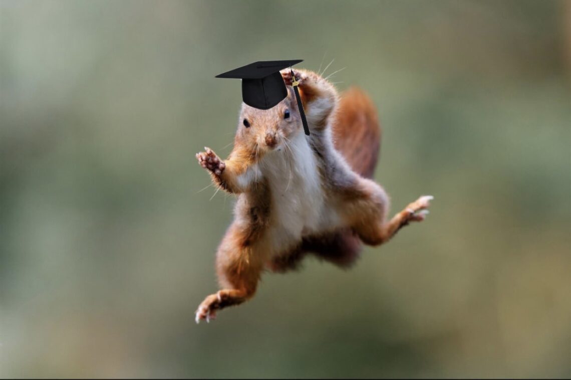 Squirrel responsible for Missoula power outage earns environmental engineering degree at MSU