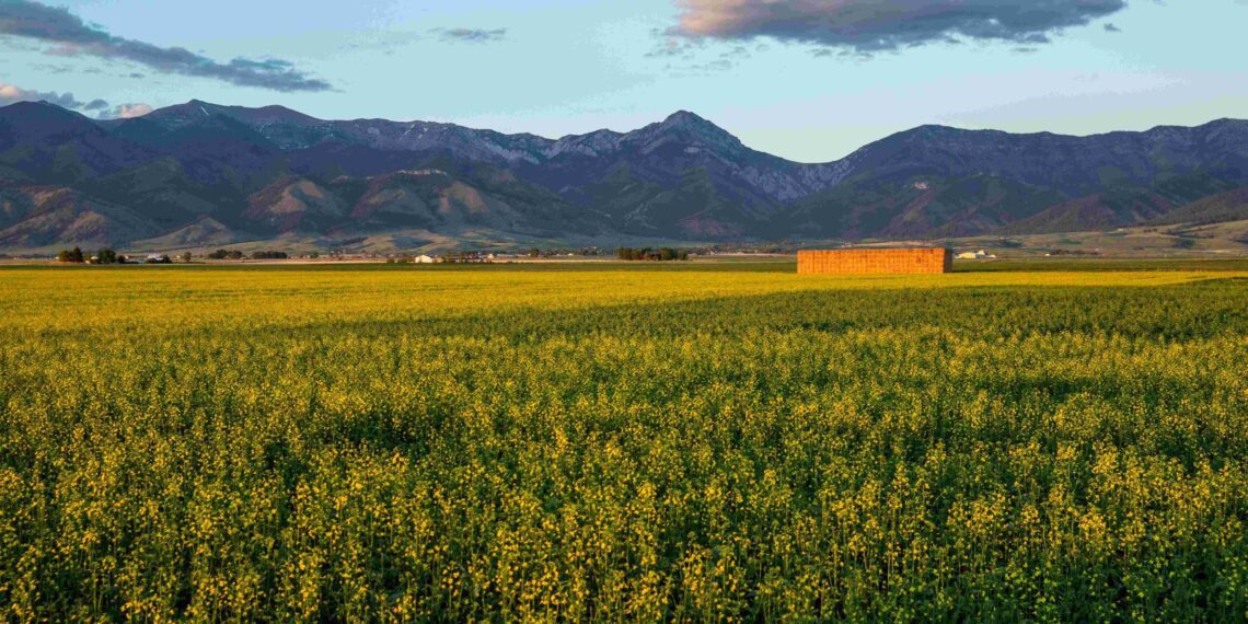 Gallatin Valley Land Trust: Building partnerships that work