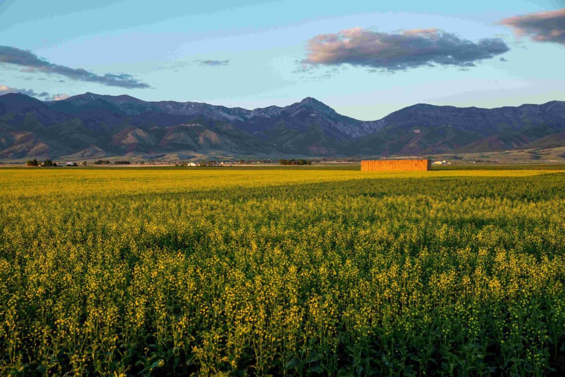 Gallatin Valley Land Trust: Building partnerships that work