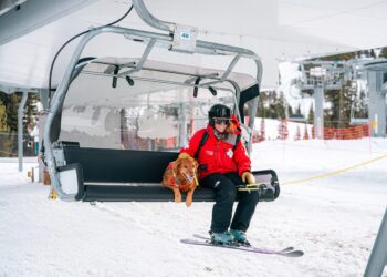 Yellowstone Club hosts regional training for avalanche rescue dogs 