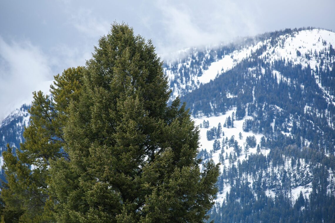 Let’s Talk About Mental Health: Navigating pediatric mental health in Big Sky