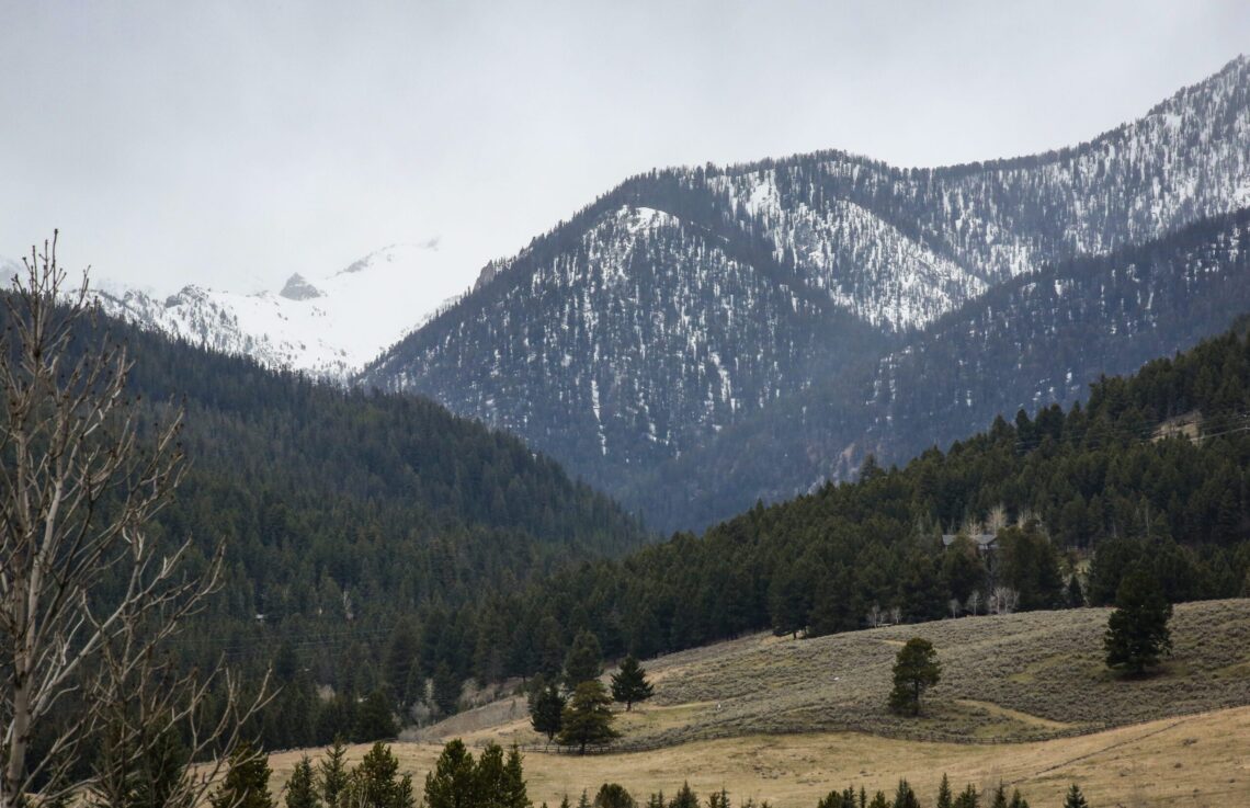 Dispatches from the Wild: Montana’s snowpack