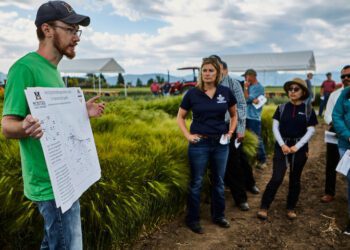 Montana State College of Agriculture announces annual summer field day series